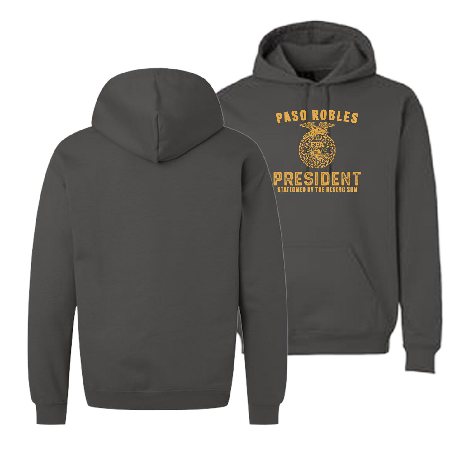 PR FFA Chapter Officer